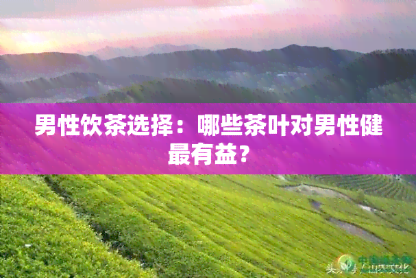 男性饮茶选择：哪些茶叶对男性健最有益？