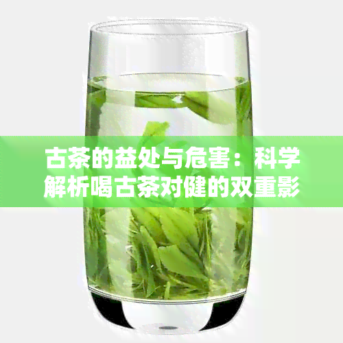 古茶的益处与危害：科学解析喝古茶对健的双重影响