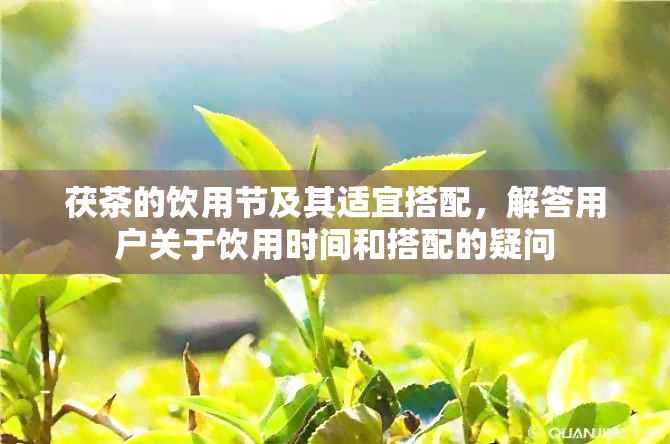 茯茶的饮用节及其适宜搭配，解答用户关于饮用时间和搭配的疑问