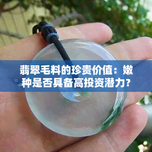 翡翠毛料的珍贵价值：嫩种是否具备高投资潜力？