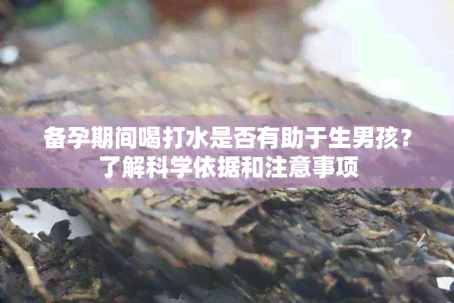 备孕期间喝打水是否有助于生男孩？了解科学依据和注意事项