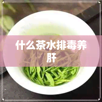 什么茶水排养肝