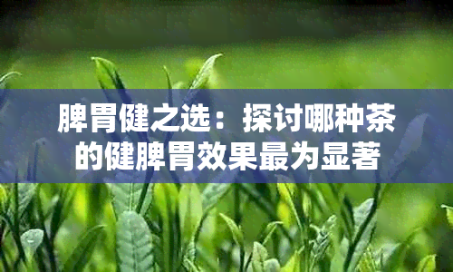 脾胃健之选：探讨哪种茶的健脾胃效果最为显著