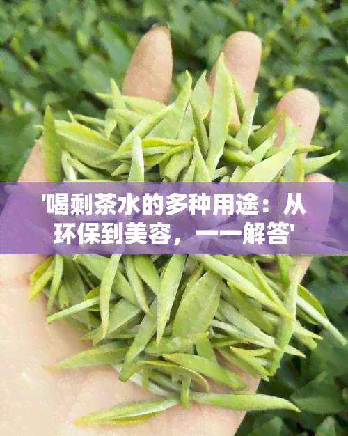 '喝剩茶水的多种用途：从环保到美容，一一解答'