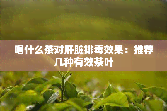 喝什么茶对肝脏排效果：推荐几种有效茶叶