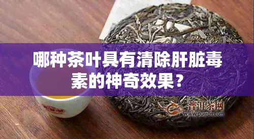 哪种茶叶具有清除肝脏素的神奇效果？