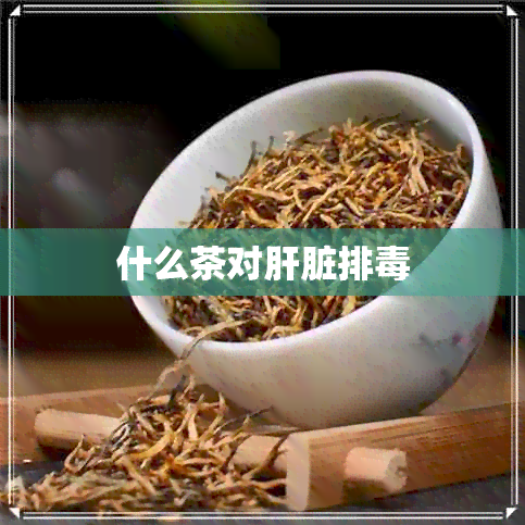 什么茶对肝脏排