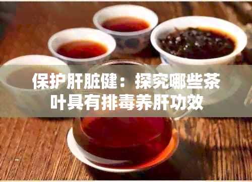 保护肝脏健：探究哪些茶叶具有排养肝功效