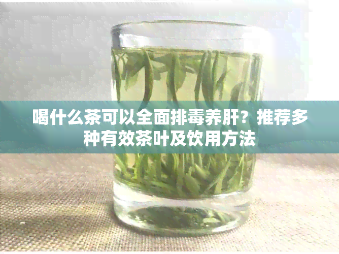 喝什么茶可以全面排养肝？推荐多种有效茶叶及饮用方法