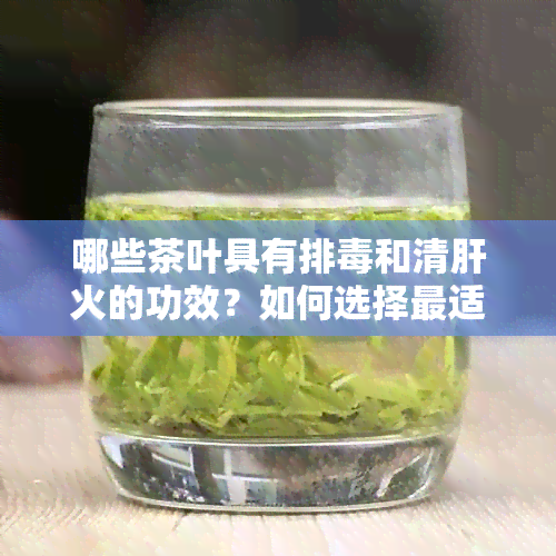 哪些茶叶具有排和清肝火的功效？如何选择最适合的茶来保护肝脏健？