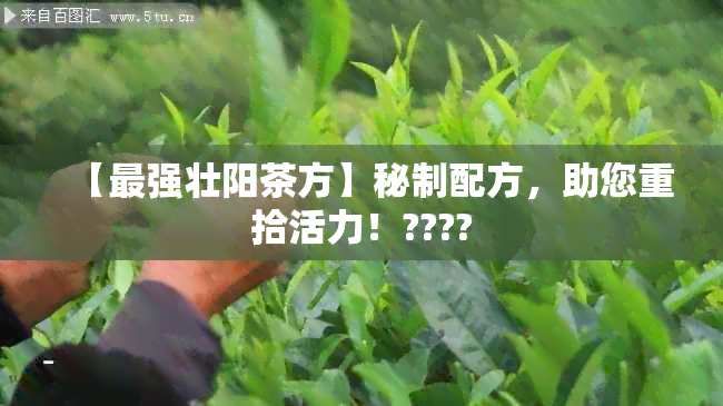 【最强壮阳茶方】秘制配方，助您重拾活力！????