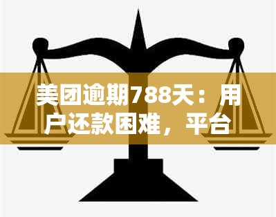 美团逾期788天：用户还款困难，平台责任何在？