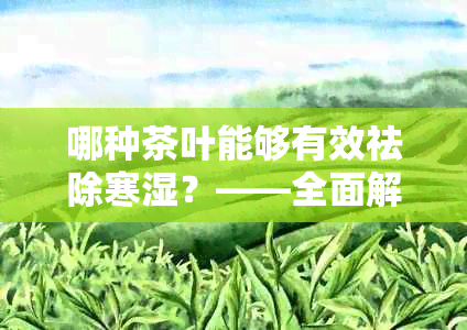 哪种茶叶能够有效祛除寒湿？——全面解析茶饮在驱寒去湿方面的效果与选择