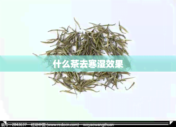 什么茶去寒湿效果