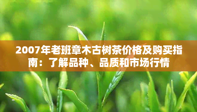 2007年老班章木古树茶价格及购买指南：了解品种、品质和市场行情