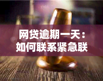 网贷逾期一天：如何联系紧急联系人以及应对措，全面解答用户搜索问题