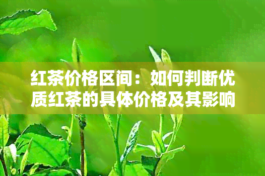 红茶价格区间：如何判断优质红茶的具体价格及其影响因素