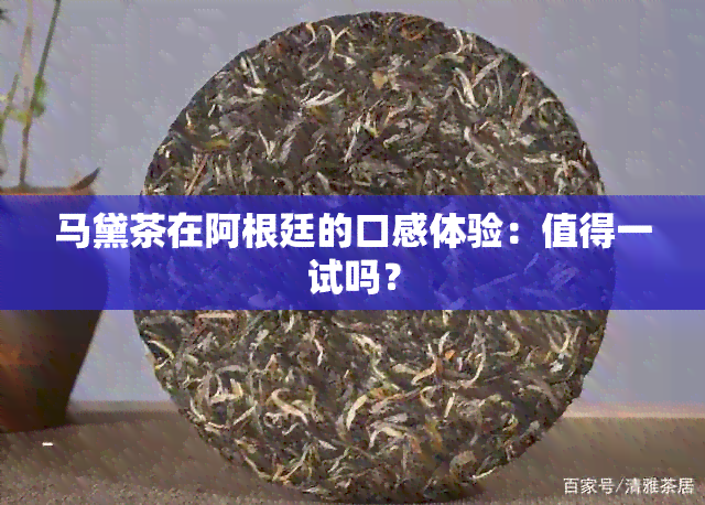 马黛茶在阿根廷的口感体验：值得一试吗？