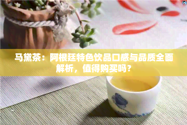 马黛茶：阿根廷特色饮品口感与品质全面解析，值得购买吗？