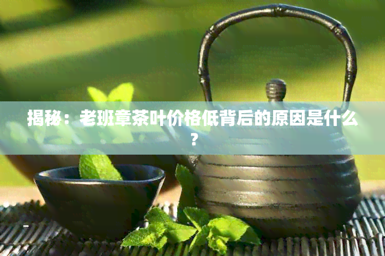 揭秘：老班章茶叶价格低背后的原因是什么？