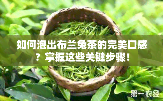 如何泡出布兰兔茶的完美口感？掌握这些关键步骤！