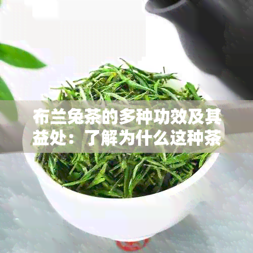 布兰兔茶的多种功效及其益处：了解为什么这种茶如此受欢迎