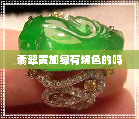 翡翠黄加绿有烧色的吗