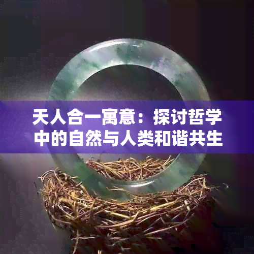 天人合一寓意：探讨哲学中的自然与人类和谐共生思想。