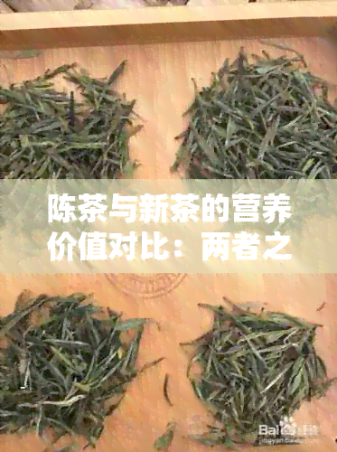 陈茶与新茶的营养价值对比：两者之间的区别与相同之处