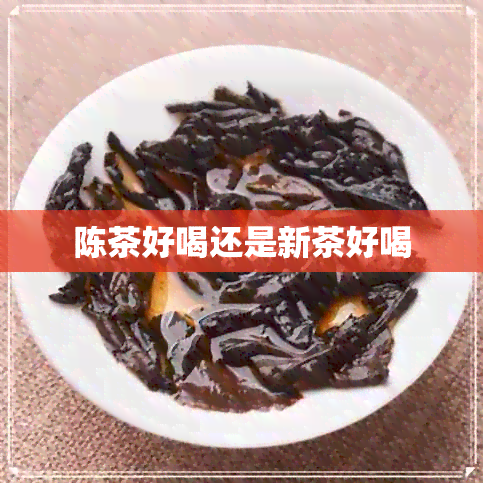 陈茶好喝还是新茶好喝