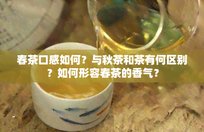 春茶口感如何？与秋茶和茶有何区别？如何形容春茶的香气？