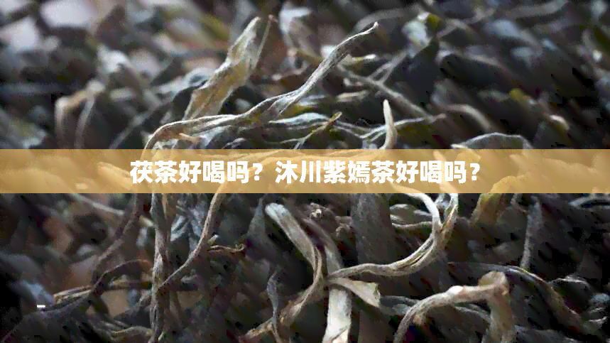 茯茶好喝吗？沐川紫嫣茶好喝吗？