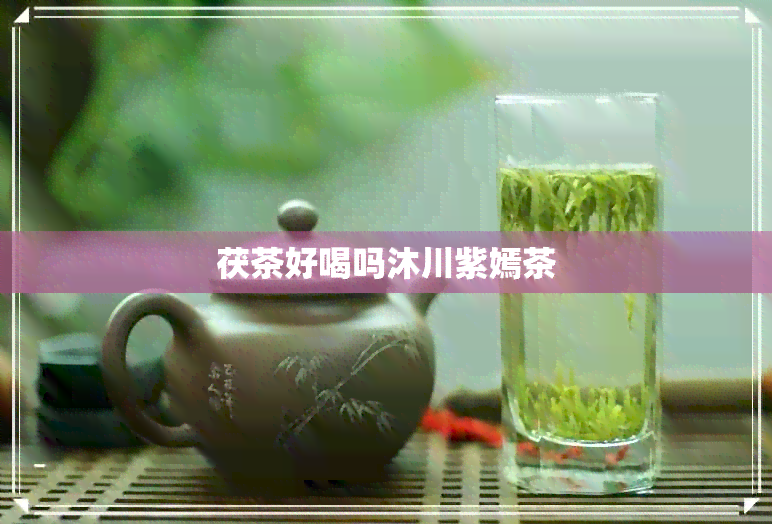 茯茶好喝吗沐川紫嫣茶