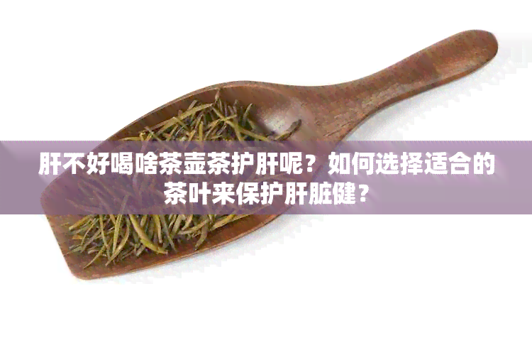 肝不好喝啥茶壶茶护肝呢？如何选择适合的茶叶来保护肝脏健？