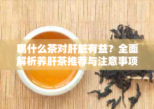 喝什么茶对肝脏有益？全面解析养肝茶推荐与注意事项