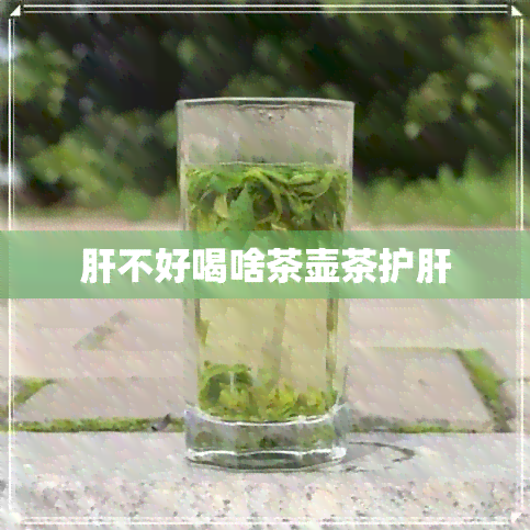 肝不好喝啥茶壶茶护肝