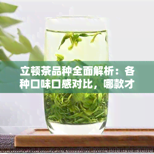 立顿茶品种全面解析：各种口味口感对比，哪款才是你的更爱？