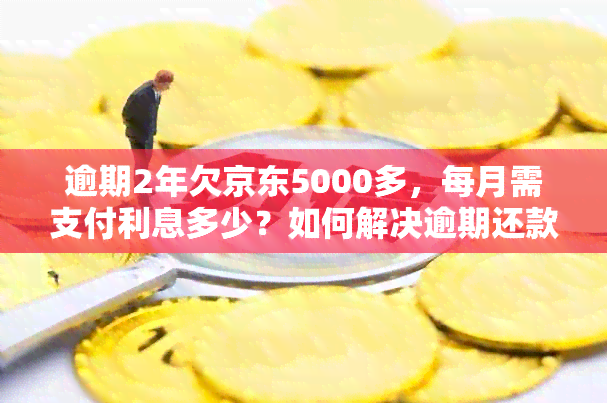 逾期2年欠京东5000多，每月需支付利息多少？如何解决逾期还款问题？