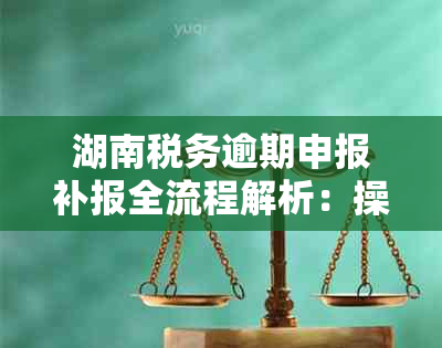 湖南税务逾期申报补报全流程解析：操作步骤、注意事项以及可能面临的后果