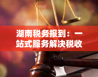 湖南税务报到：一站式服务解决税收难题