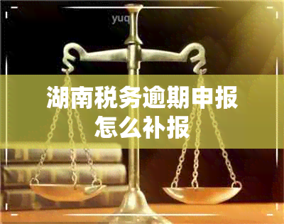 湖南税务逾期申报怎么补报