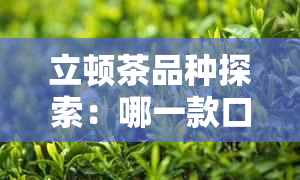 立顿茶品种探索：哪一款口感更佳？