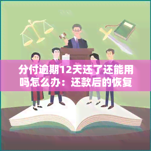 分付逾期12天还了还能用吗怎么办：还款后的恢复与处理方式