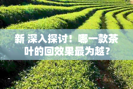 新 深入探讨！哪一款茶叶的回效果最为越？