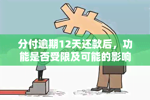 分付逾期12天还款后，功能是否受限及可能的影响？如何解决这类问题？