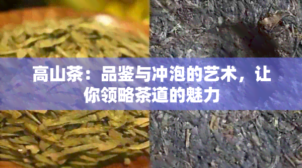 高山茶：品鉴与冲泡的艺术，让你领略茶道的魅力