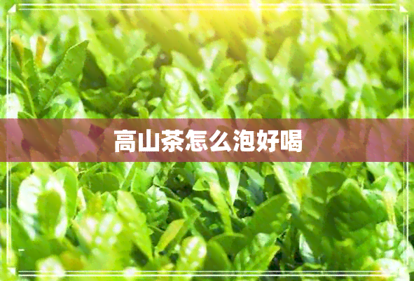 高山茶怎么泡好喝