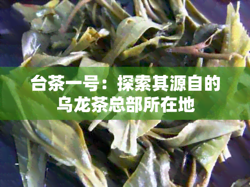 台茶一号：探索其源自的乌龙茶总部所在地