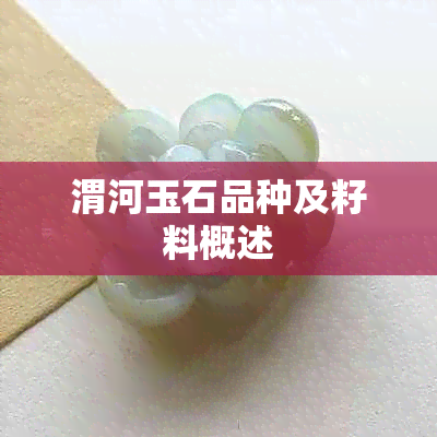 渭河玉石品种及籽料概述