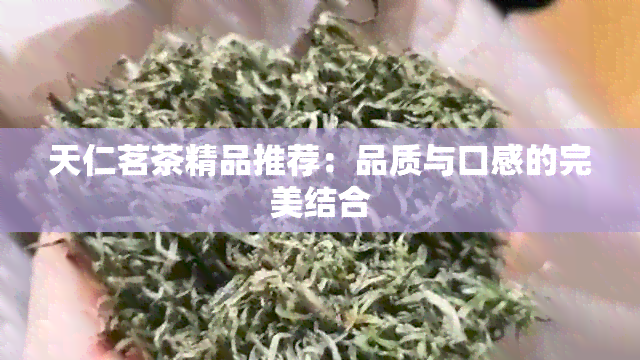 天仁茗茶精品推荐：品质与口感的完美结合